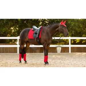 Conjunto de 4 bandas de Polo para cavalos LeMieux Classic image-1