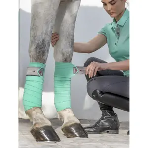 Polo strips for horses LeMieux Classic (x4) image-1