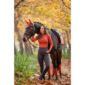 Polobänder für Pferde LeMieux Classic image-1