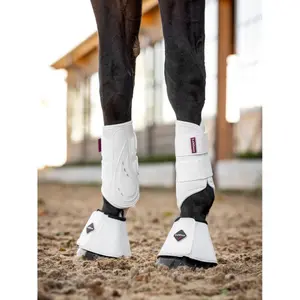 Hind leg gaiters for horses LeMieux ProShell image-2