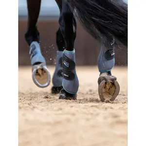 Carbon horse gaiters LeMieux image-0