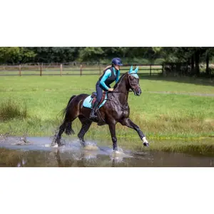 Hind leg boots for horses LeMieux Shoc Air XC image-0