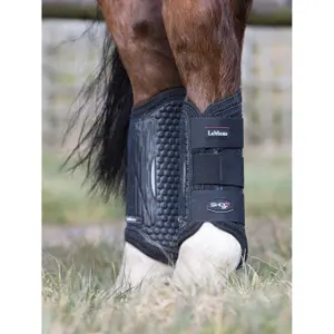 Hind leg boots for horses LeMieux Shoc Air XC image-1