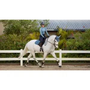 Anti-fly Cap LeMieux Loire image-2