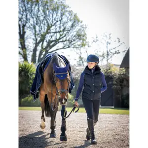 Anti-fly Cap LeMieux Loire image-1