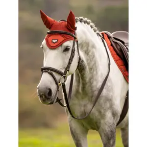 Häst flughatt LeMieux Loire image-1