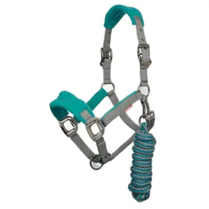 Set aus Halfter und Longiergurt LeMieux Vogue image-0