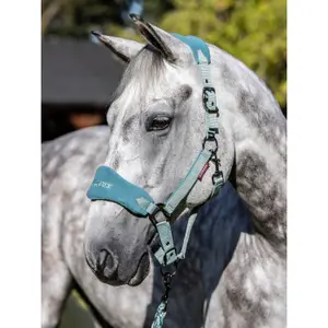 Halter and lead rope set LeMieux Vogue image-1
