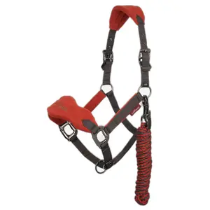 Set aus Halfter und Longiergurt LeMieux Vogue image-0