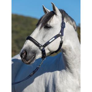 Halter for horse LeMieux Capella image-1