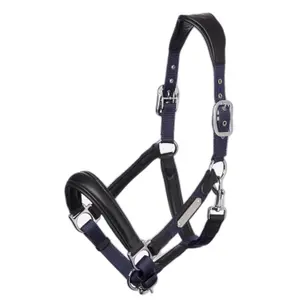 Halter for horse LeMieux Capella