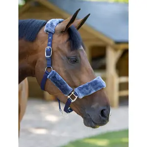 Kantar dla koni LeMieux Comfort image-1