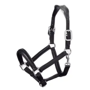 Halter for horse LeMieux Anatomic