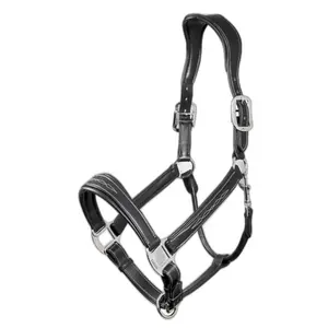 Leather halter for horse LeMieux Stitched Comfort