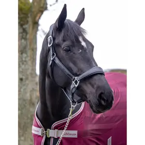 Leather halter for horse LeMieux Stitched Comfort image-2