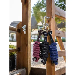 Nyckelband för ridning LeMieux Lasso image-1