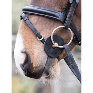 Silikone-bideskiver til heste LeMieux image-1