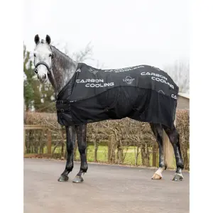 Drying Rug  Carbon Horse LeMieux image-1