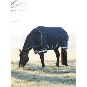 Coperta da paddock per cavalli LeMieux Arika Storm-Tek 100g image-2