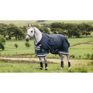 Coperta da paddock per cavalli LeMieux Arika Storm-Tek 100g image-1