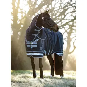 Coperta da paddock per cavalli LeMieux 350g image-3