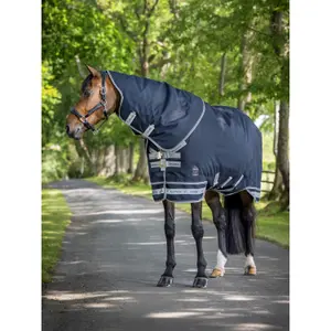 Coperta da paddock per cavalli LeMieux 350g image-2