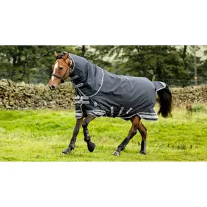 Coperta da paddock per cavalli LeMieux 350g image-4