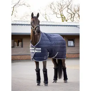 Stable Blanket LeMieux Arika Stable-Tek 100g image-1