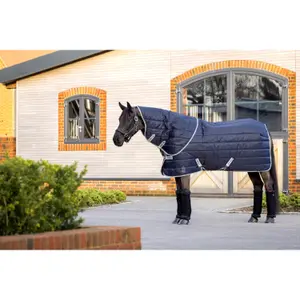 Stable Blanket LeMieux Arika Stable-Tek 350 g image-1