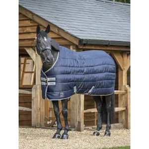 Stable Blanket LeMieux Arika Stable-Tek 350 g image-3