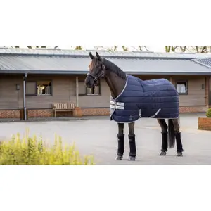 Stable Blanket LeMieux Arika Stable-Tek 350 g image-2