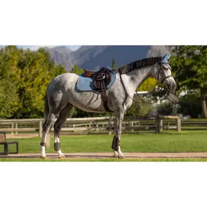 Suede horse saddle pad LeMieux Close Contact image-0