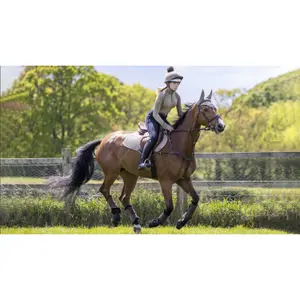 Suede horse saddle pad LeMieux Close Contact image-0