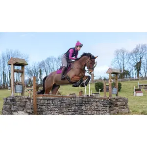 Cso mat LeMieux Suede Close Contact image-2