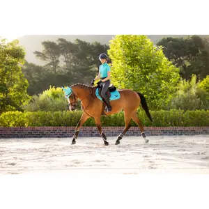Square horse saddle pad LeMieux Loire Memory Close Contact image-0