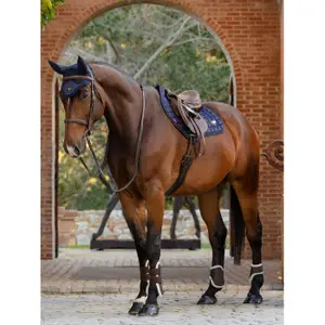 Cso mat LeMieux Loire Memory Close Contact image-1