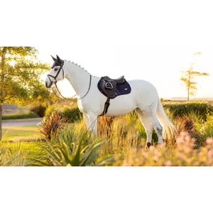 Cso mat LeMieux Loire Memory Close Contact image-3