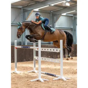 Cso mat LeMieux Loire Memory Close Contact image-2