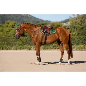 Cso mat LeMieux Loire Classic Close Contact image-1