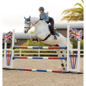 Cso mat LeMieux Loire Classic Close Contact image-1