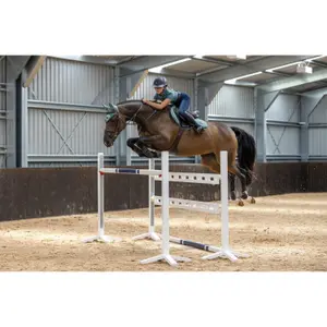 Cso mat LeMieux Loire Classic Close Contact image-2