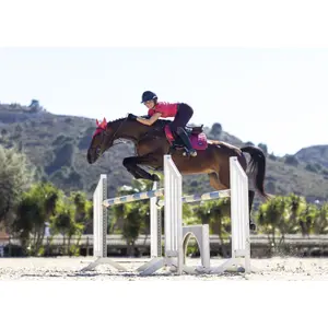 Saddle pad for horses LeMieux Classic Close Contact image-0