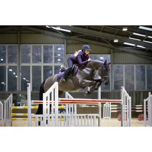 Cso mat LeMieux Loire Classic Close Contact image-3