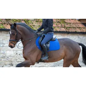 Cso mat LeMieux Close Contact image-2