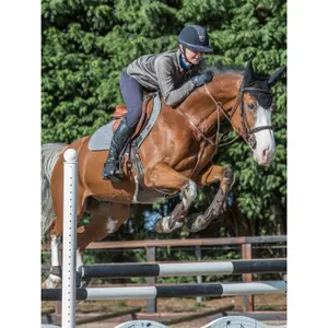 Cso mat LeMieux Close Contact image-1