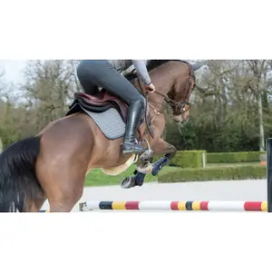 Cso mat LeMieux Close Contact image-2