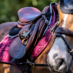 Malha de sela de cavalo LeMieux Carbon Close Contact image-1