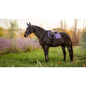 Mantilla equitación LeMieux Contact Square image-0