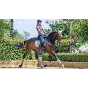 Dressage saddle pad  LeMieux Suede image-2