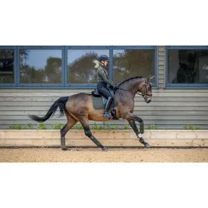 Dressage mat for horses LeMieux Suede image-0